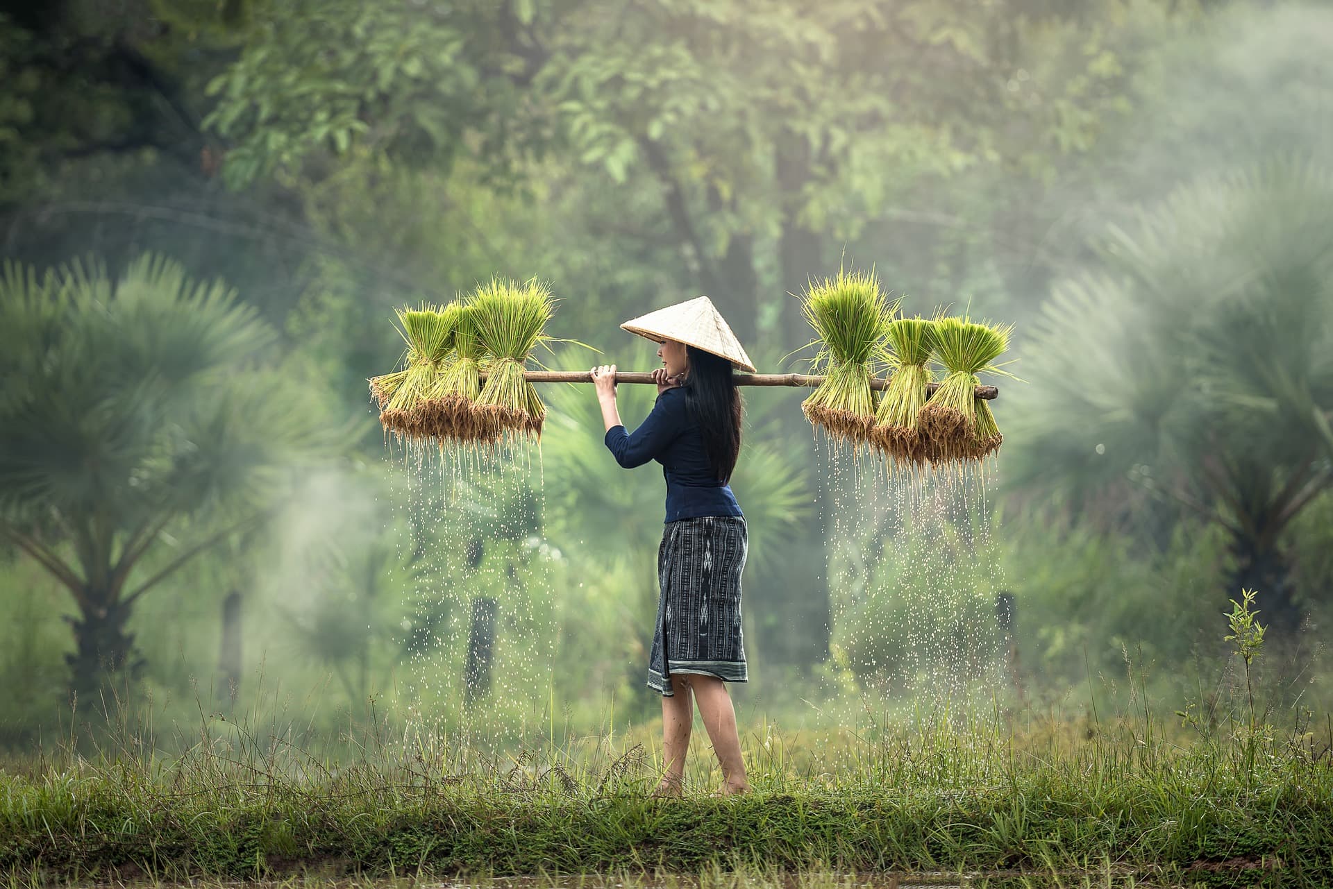 Indochina - Vietnam, Laos, Cambodgia