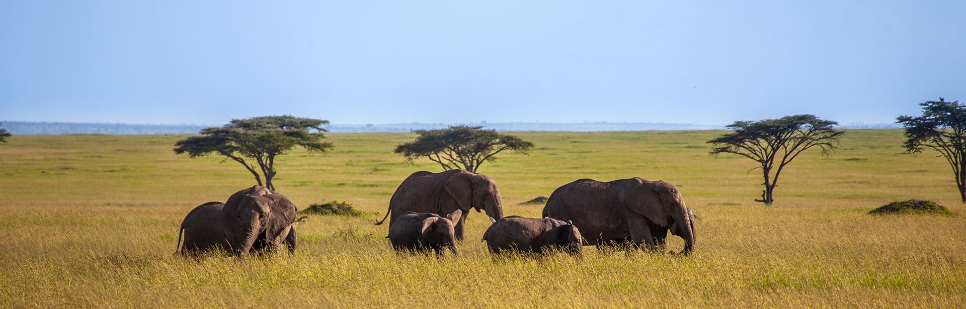 Safari in Kenya - Sejur in Mombasa
