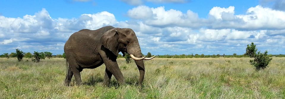 Aventura in Africa de Sud si Zambia